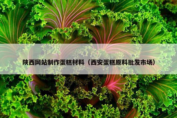 陕西网站制作蛋糕材料（西安蛋糕原料批发市场）