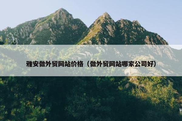 雅安做外贸网站价格（做外贸网站哪家公司好）