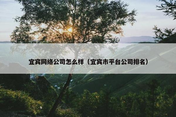 宜宾网络公司怎么样（宜宾市平台公司排名）