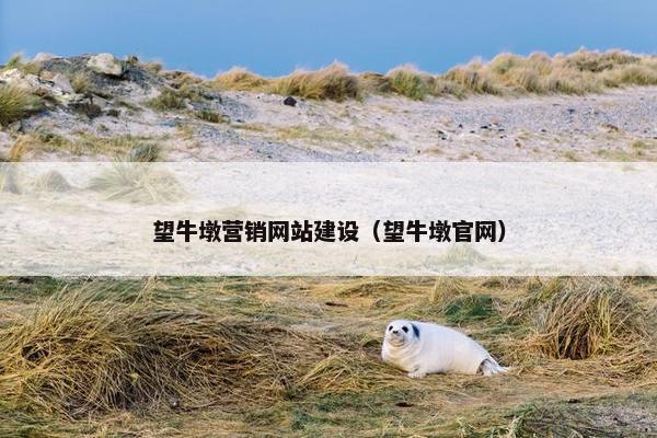 望牛墩营销网站建设（望牛墩官网）