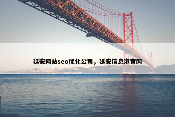 延安网站seo优化公司，延安信息港官网
