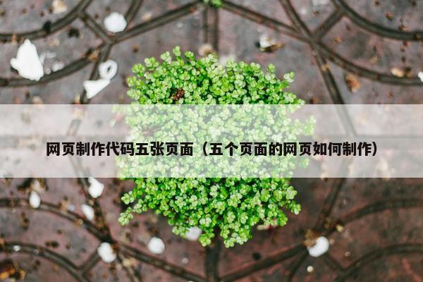 网页制作代码五张页面（五个页面的网页如何制作）