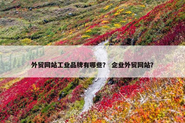 外贸网站工业品牌有哪些？ 企业外贸网站？