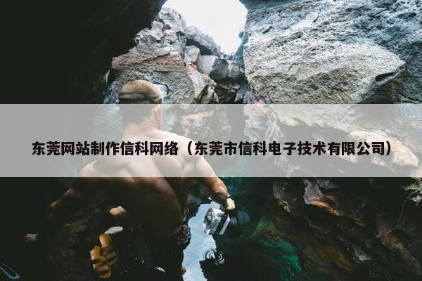 东莞网站制作信科网络（东莞市信科电子技术有限公司）