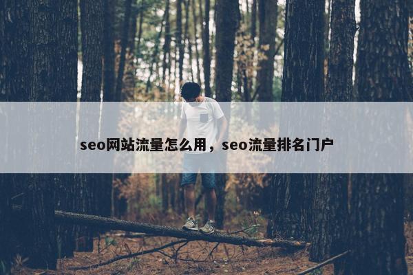 seo网站流量怎么用，seo流量排名门户