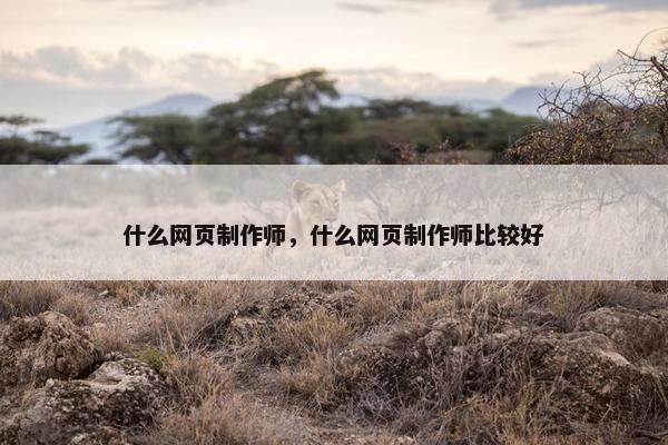 什么网页制作师，什么网页制作师比较好