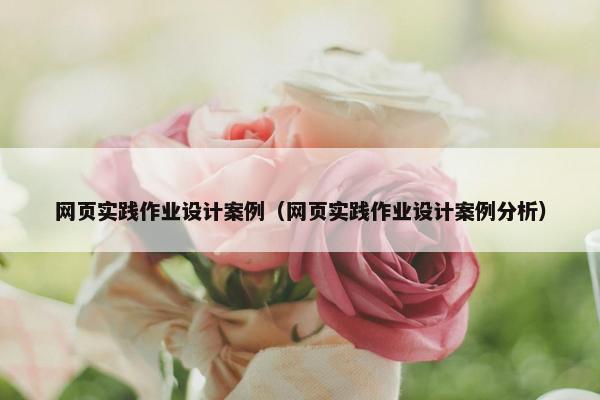 网页实践作业设计案例（网页实践作业设计案例分析）