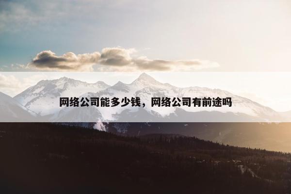 网络公司能多少钱，网络公司有前途吗