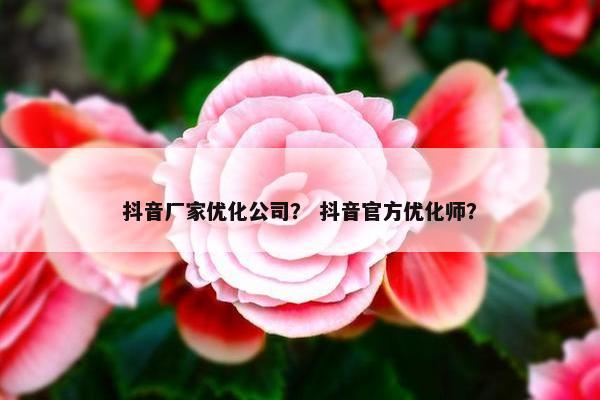 抖音厂家优化公司？ 抖音官方优化师？