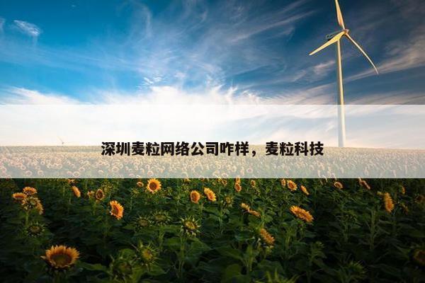 深圳麦粒网络公司咋样，麦粒科技
