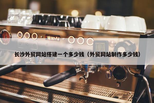 长沙外贸网站搭建一个多少钱（外贸网站制作多少钱）
