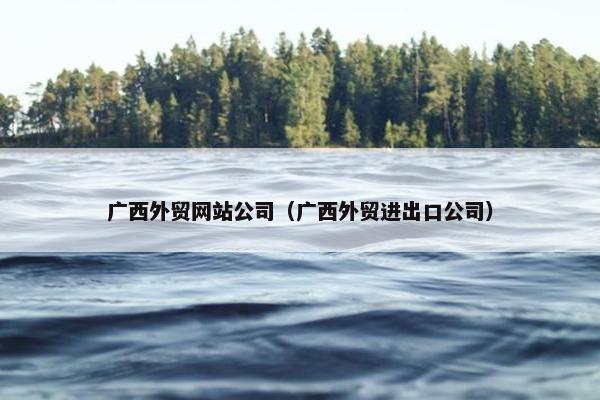 广西外贸网站公司（广西外贸进出口公司）