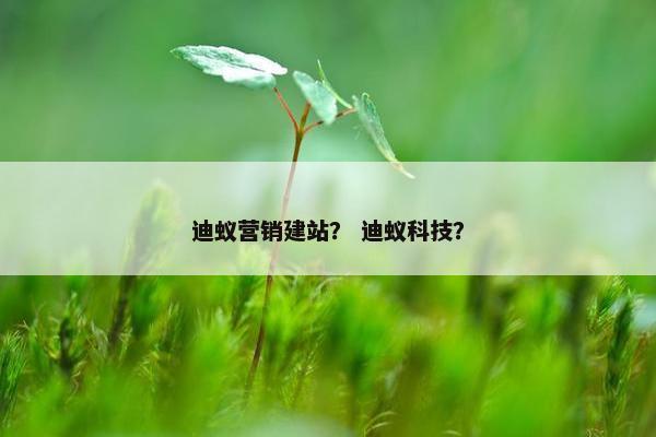 迪蚁营销建站？ 迪蚁科技？