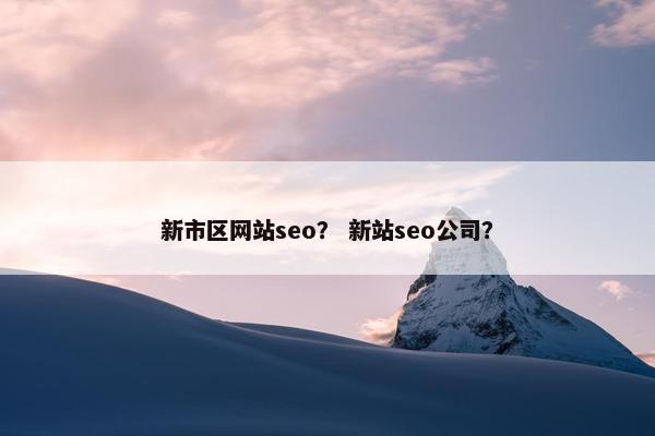 新市区网站seo？ 新站seo公司？