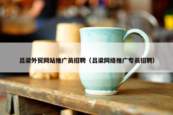 吕梁外贸网站推广员招聘（吕梁网络推广专员招聘）