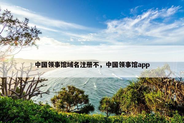 中国领事馆域名注册不，中国领事馆app