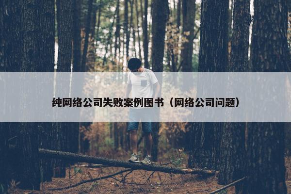纯网络公司失败案例图书（网络公司问题）