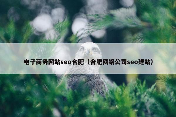 电子商务网站seo合肥（合肥网络公司seo建站）