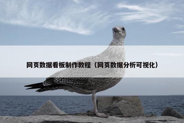 网页数据看板制作教程（网页数据分析可视化）