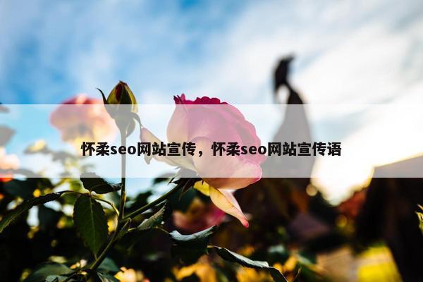 怀柔seo网站宣传，怀柔seo网站宣传语