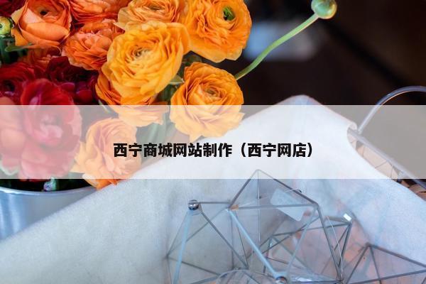 西宁商城网站制作（西宁网店）