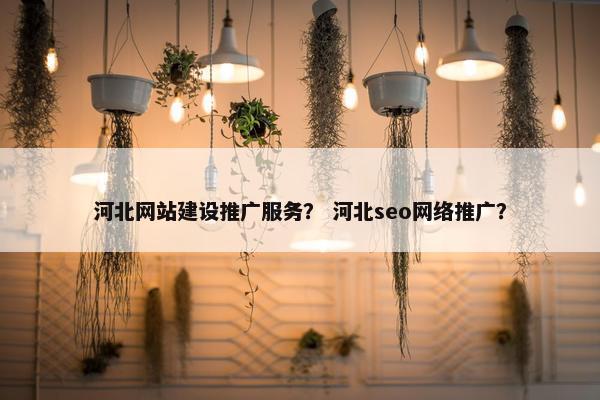 河北网站建设推广服务？ 河北seo网络推广？