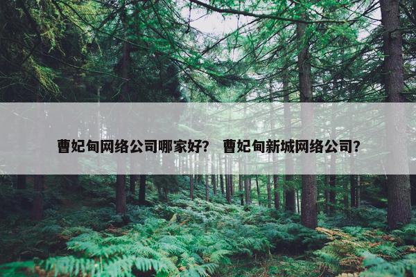 曹妃甸网络公司哪家好？ 曹妃甸新城网络公司？