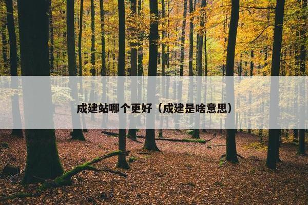 成建站哪个更好（成建是啥意思）