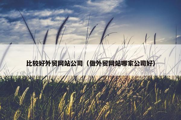 比较好外贸网站公司（做外贸网站哪家公司好）