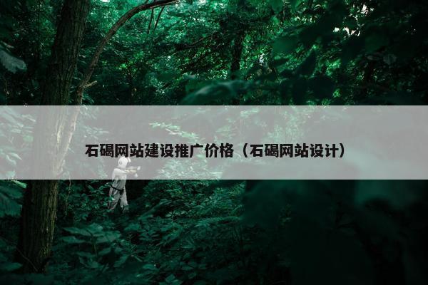 石碣网站建设推广价格（石碣网站设计）
