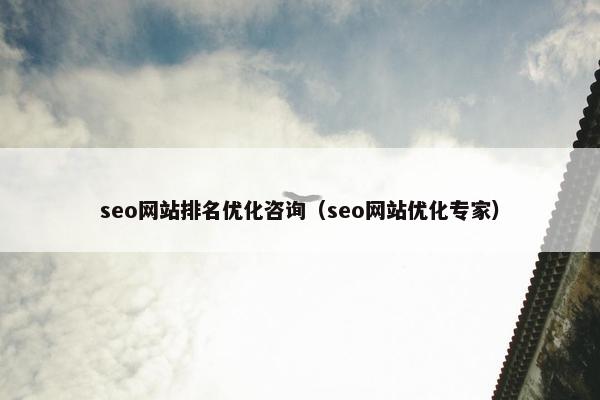 seo网站排名优化咨询（seo网站优化专家）