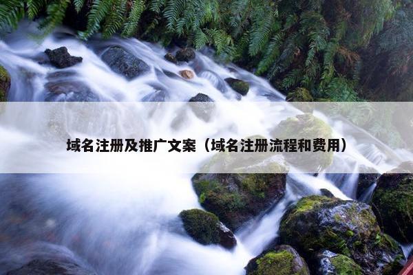 域名注册及推广文案（域名注册流程和费用）