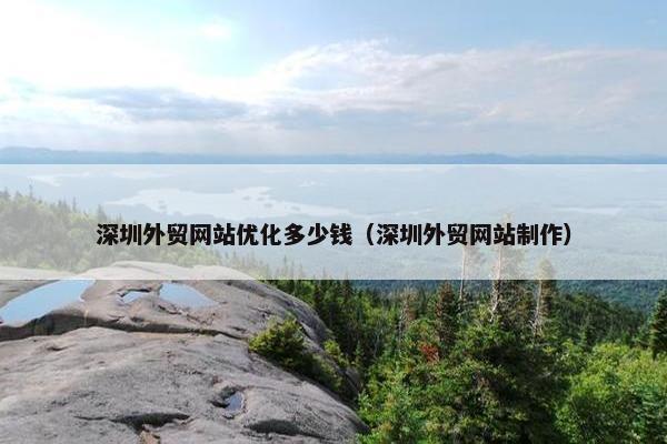 深圳外贸网站优化多少钱（深圳外贸网站制作）