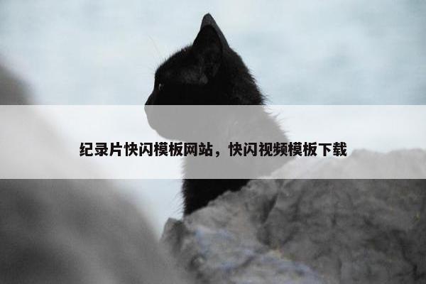 纪录片快闪模板网站，快闪视频模板下载