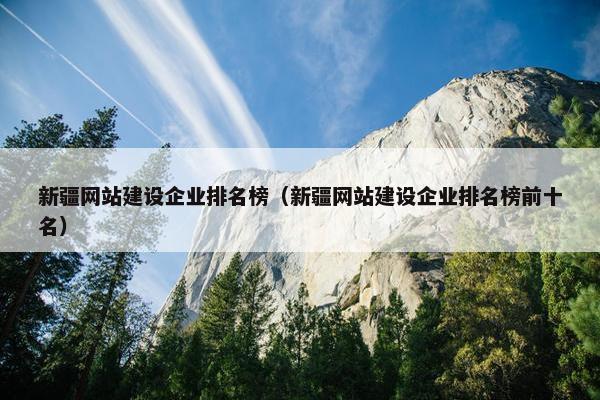 新疆网站建设企业排名榜（新疆网站建设企业排名榜前十名）