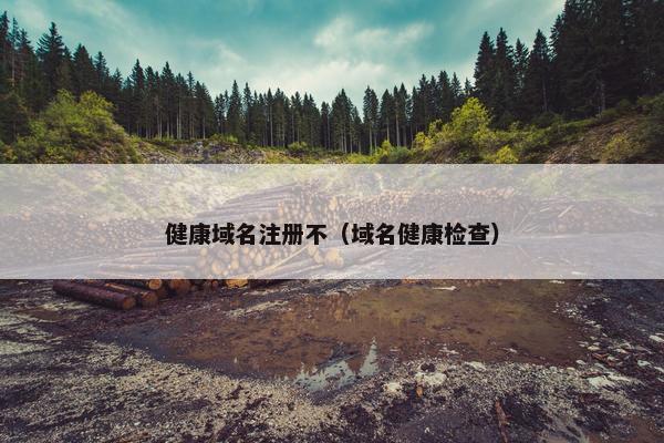 健康域名注册不（域名健康检查）