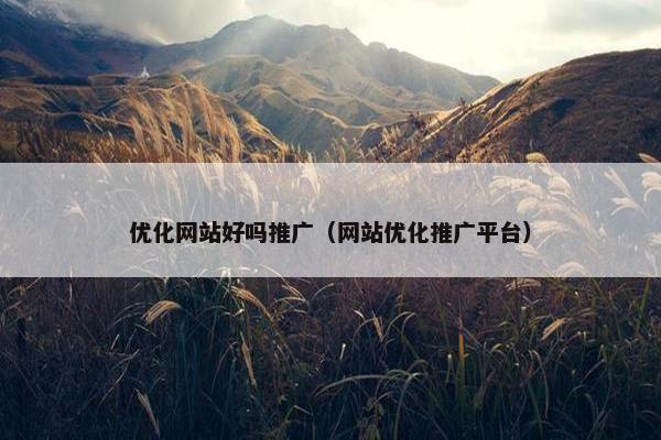优化网站好吗推广（网站优化推广平台）