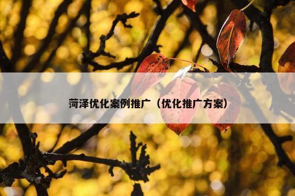 菏泽优化案例推广（优化推广方案）
