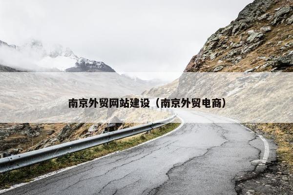 南京外贸网站建设（南京外贸电商）