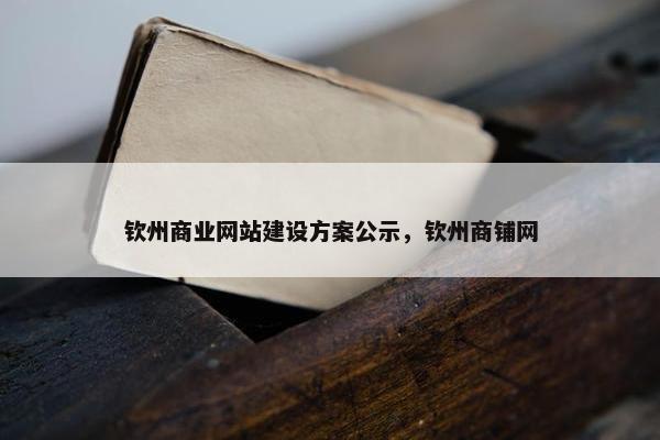 钦州商业网站建设方案公示，钦州商铺网