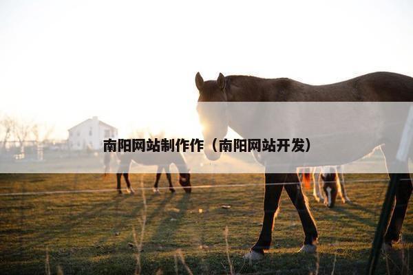 南阳网站制作作（南阳网站开发）