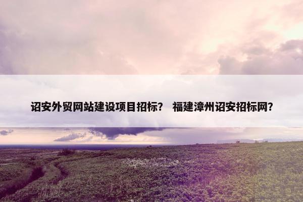 诏安外贸网站建设项目招标？ 福建漳州诏安招标网？