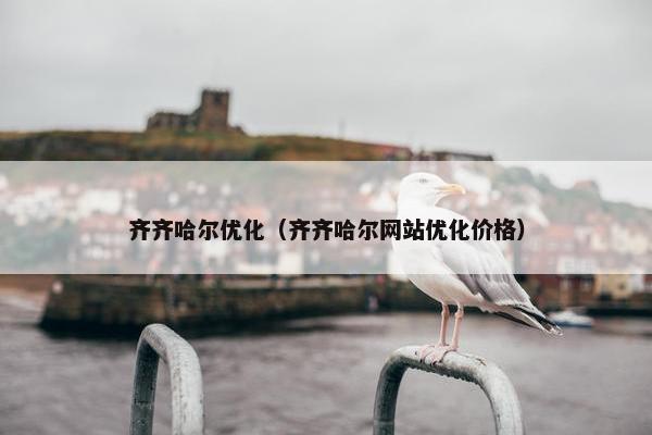 齐齐哈尔优化（齐齐哈尔网站优化价格）
