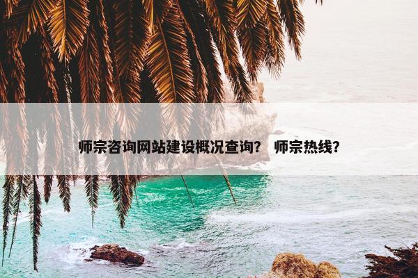 师宗咨询网站建设概况查询？ 师宗热线？