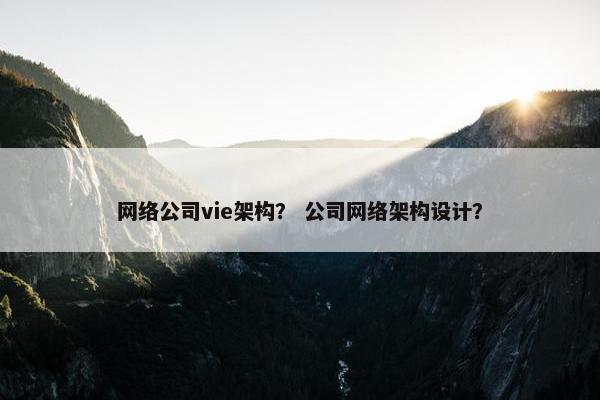 网络公司vie架构？ 公司网络架构设计？