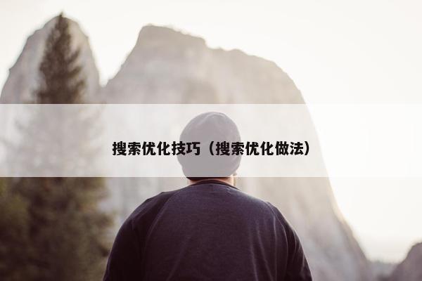 搜索优化技巧（搜索优化做法）
