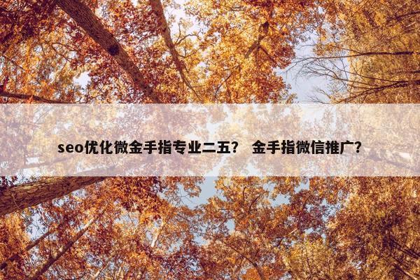 seo优化微金手指专业二五？ 金手指微信推广？
