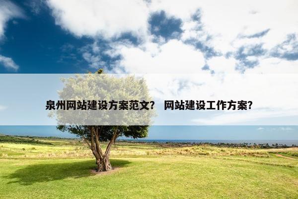 泉州网站建设方案范文？ 网站建设工作方案？