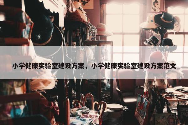 小学健康实验室建设方案，小学健康实验室建设方案范文