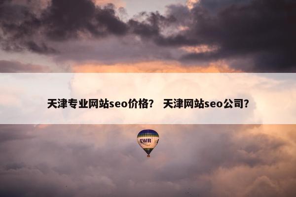 天津专业网站seo价格？ 天津网站seo公司？